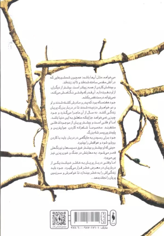 پادشاه پریان جلد اول : شاهزاده سنگدل هالی بلک آرزو قلی زاده باژ