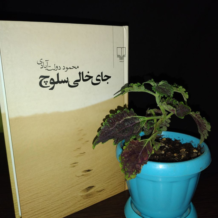جای خالی سلوچ محمود دولتآبادی چشمه (جلد سخت)