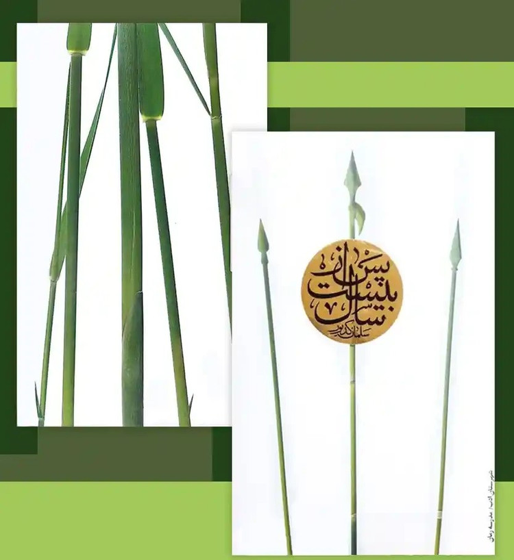 پس از بیست سال سلمان کدیور شهرستان ادب