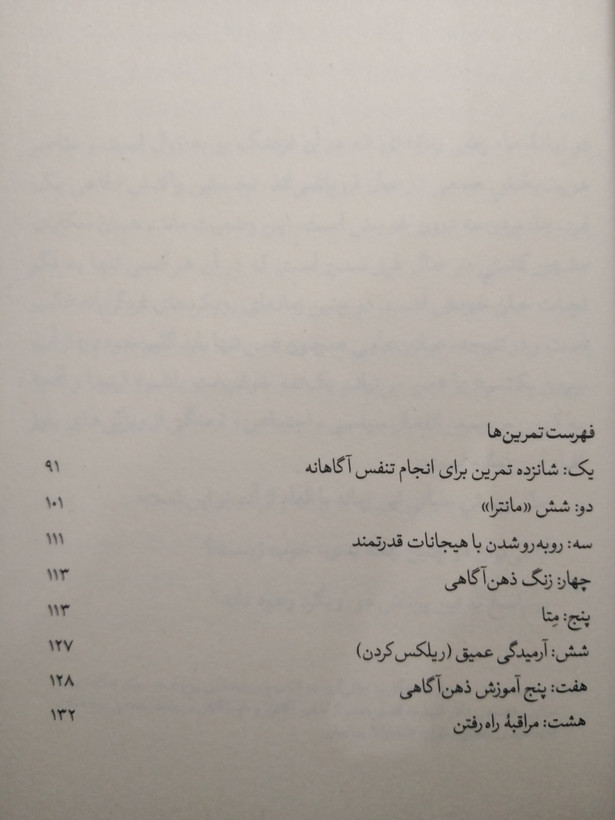 نیلوفر و مرداب تیچ نات هان علی امیر آبادی بیدگل
