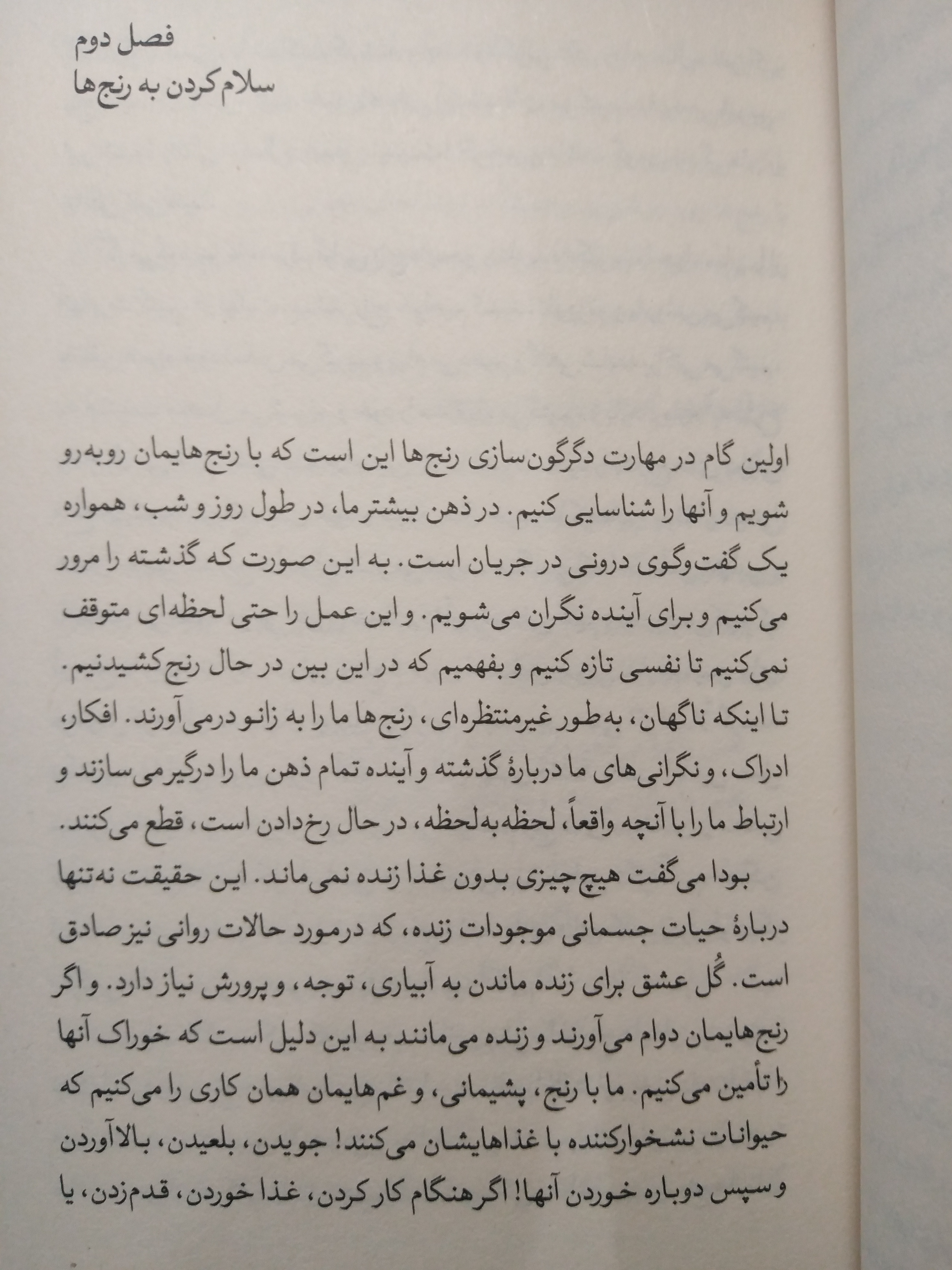 نیلوفر و مرداب تیچ نات هان علی امیر آبادی بیدگل
