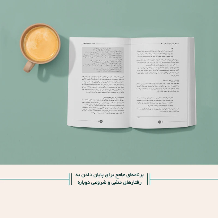 زندگی خود را دوباره بیافرینید جفری یانگ ژانت گلوسکو امیرعباس قربانی کاسپین دانش