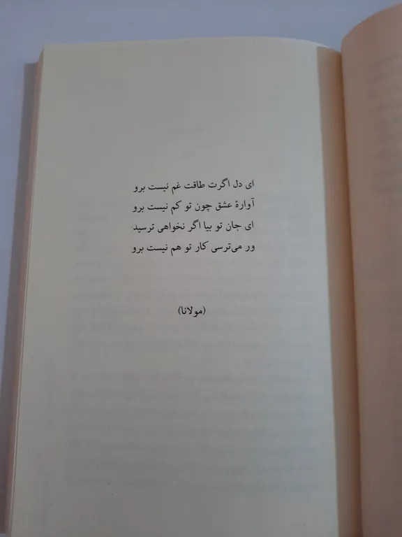 سفر کوانتومی وال تنها ایمان سرورپور ایجاز