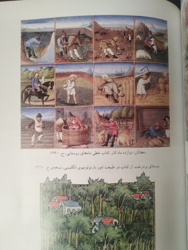آینه ای در دور دست باربارا تاکمن حسن افشار ماهی (جلد سخت)
