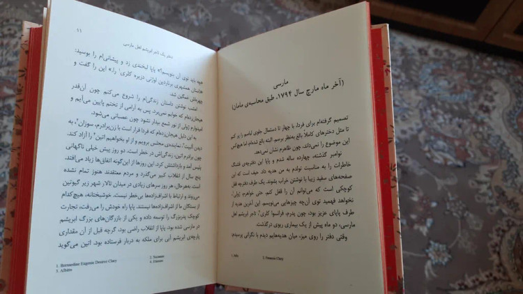دزیره آن ماری سلینکو کیوان عبیدی آشتیانی افق جلد اول (جلد سخت، لبه رنگی)