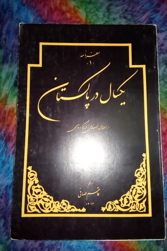 یکسال در پاکستان قاسم صافی